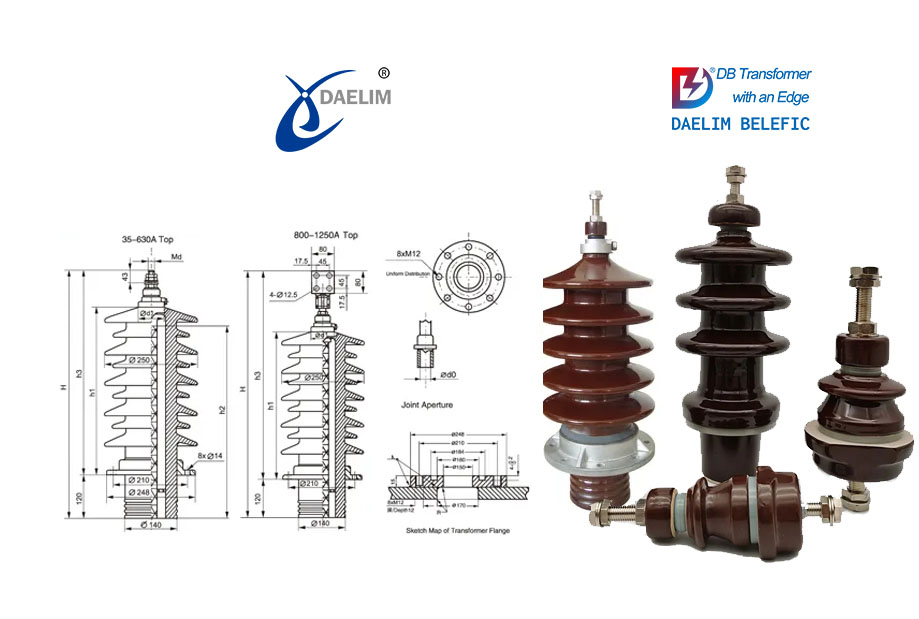 What is the structure of the oilimmersed transformer? Daelim Transformer